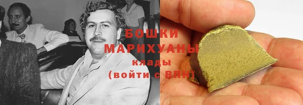 хмурый Белокуриха