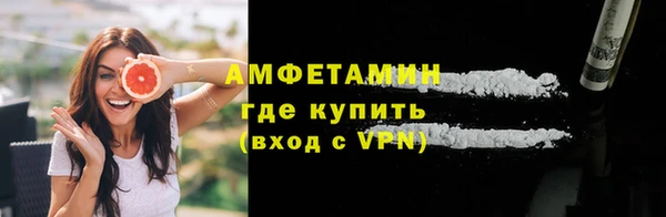 хмурый Белокуриха
