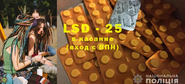 хмурый Белокуриха