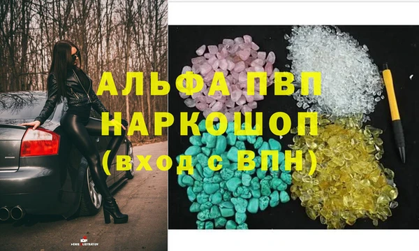 хмурый Белокуриха